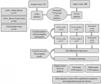 Clinical and Prognostic Pan-Cancer Analysis of N6-Methyladenosine Regulators in Two Types of Hematological Malignancies: A Retrospective Study Based on TCGA and GTEx Databases